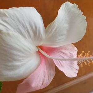 Meet your Posher, Cathy